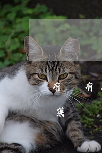有沒有人被阿里逾期起訴的 曝阿里巴巴再遭集體訴訟