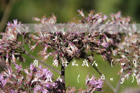 有沒有什么成人網(wǎng)站(有沒有什么成人網(wǎng)站可以推薦的嗎)
