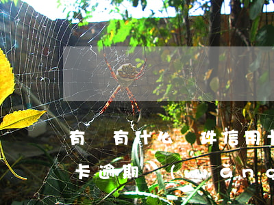 有沒有什么軟件信用卡逾期還可以借的?（信用卡逾期網(wǎng)貸哪里可以借到）