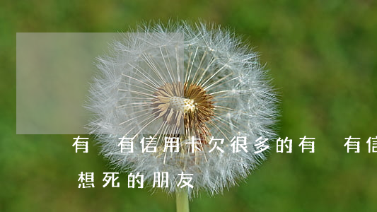 有沒有信用卡欠很多的(有沒有信用卡還不上想死的朋友)