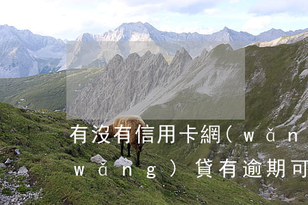 有沒有信用卡網(wǎng)貸逾期的(網(wǎng)貸有逾期可以申請(qǐng)信用卡嗎)