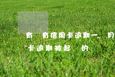 有沒有信用卡逾期一個月被起訴的-有信用卡逾期被起訴的嗎