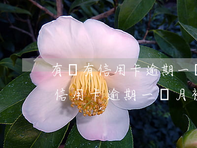 有沒有信用卡逾期一個月被起訴的-有沒有信用卡逾期一個月被起訴的人