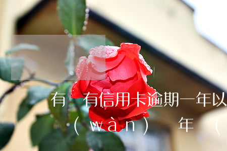 有沒有信用卡逾期一年以上的（信用卡逾期一萬(wàn)兩年會(huì)怎么樣）