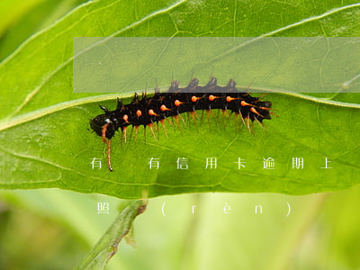 有沒有信用卡逾期上門的（信用卡逾期上門拍照認(rèn)證）