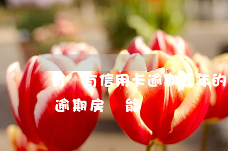 有沒有信用卡逾期五年的（信用卡四五年錢有逾期房貸能辦嗎）