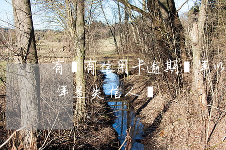 有沒有信用卡逾期兩年以上的（信用卡逾期一年是失信人嗎）
