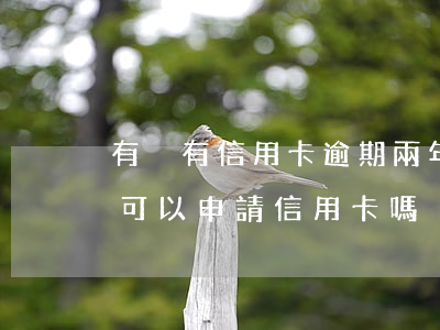 有沒有信用卡逾期兩年以上的（兩年前有逾期可以申請信用卡嗎）