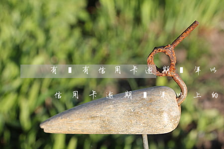有沒有信用卡逾期兩年以上的平臺-有沒有信用卡逾期兩年以上的平臺啊
