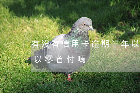 有沒有信用卡逾期半年以上的（信用卡逾期可以零首付嗎）