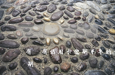 有沒有信用卡逾期半年的（信用卡沒有當前逾期）