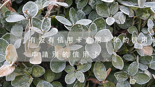 有沒有信用卡逾期半年的（信用卡逾期半個月申請別的信用卡）