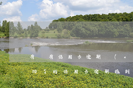 有沒有信用卡逾期協(xié)商還本金成功了的（信用卡逾期拖到最后只還本金）