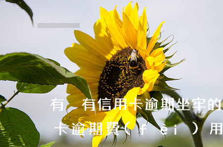 有沒有信用卡逾期坐牢的老哥（坐牢出來信用卡逾期費(fèi)用幾十萬）