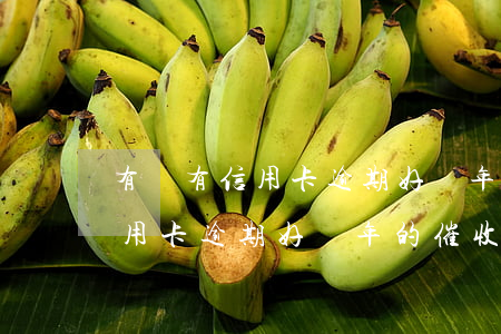 有沒有信用卡逾期好幾年的催收-有沒有信用卡逾期好幾年的催收電話