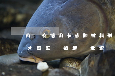有沒有信用卡逾期被判刑的（信用卡逾期多久才真正會被起訴坐牢）