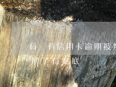 有沒有信用卡逾期被判刑的（信用卡逾期被判刑了有案底嗎）