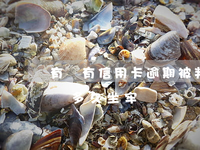有沒有信用卡逾期被判刑的（信用卡逾期被起訴多久坐牢嗎）