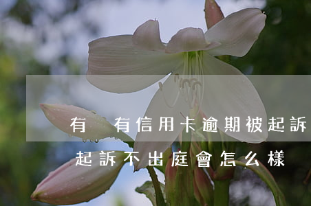 有沒有信用卡逾期被起訴的人（信用卡逾期被起訴不出庭會怎么樣）