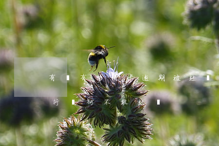 有沒有信用卡逾期被起訴的人（信用卡逾期銀行為何不敢起訴）