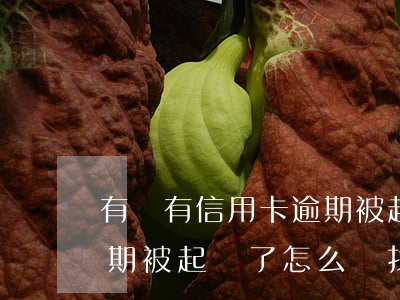 有沒有信用卡逾期被起訴的人（妻子信用卡逾期被起訴了怎么辦找不到人了）