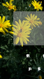 有沒有借唄逾期兩年的 借唄逾期兩年了,欠賬太多,無力償還怎么辦