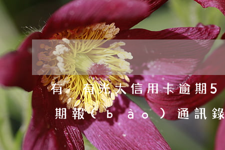 有沒有光大信用卡逾期5萬的（光大信用卡逾期報(bào)通訊錄嗎）