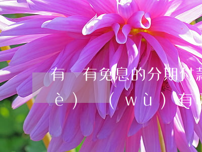 有沒有免息的分期付款(免息分期付款業(yè)務(wù)有哪些)