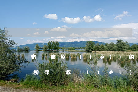 有沒有免費(fèi)的交通法律師(交通官司律師收費(fèi)標(biāo)準(zhǔn))
