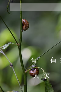 有沒有女的欠網(wǎng)貸不還的(很多人欠網(wǎng)貸不還)