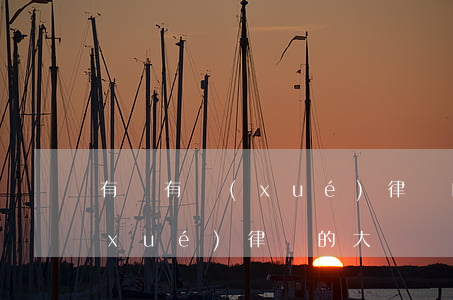有沒有學(xué)律師的技校(有沒有學(xué)律師的大專學(xué)校)