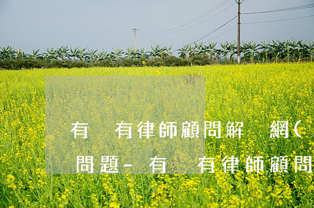 有沒有律師顧問解決網(wǎng)貸逾期問題-有沒有律師顧問解決網(wǎng)貸逾期問題的