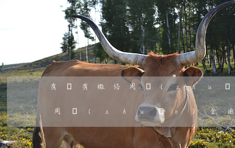 有沒有微信周轉(zhuǎn)逾期的(微信周轉(zhuǎn)金逾期多久起訴)