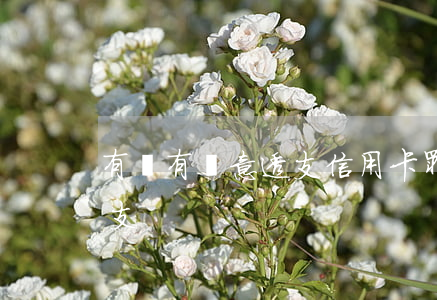 有沒有惡意透支信用卡罪(刑法信用卡惡意透支)