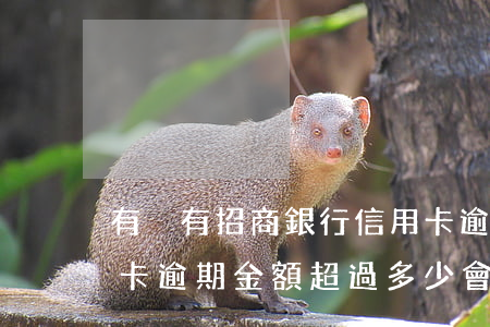 有沒有招商銀行信用卡逾期的（招商銀行信用卡逾期金額超過多少會(huì)被起訴）