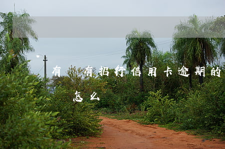 有沒有招行信用卡逾期的群(招商銀行卡逾期會怎么樣)