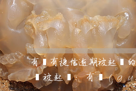 有沒有捷信逾期被起訴的(捷信貸款逾期多久會被起訴:有規(guī)定嗎?)
