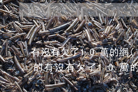 有沒有欠了10萬的網(wǎng)貸不還的(有沒有欠了10萬的網(wǎng)貸不還的)