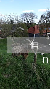 有沒有欠了很多網(wǎng)貸的(網(wǎng)貸欠款的人多嗎)