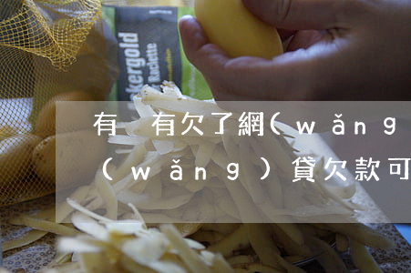 有沒有欠了網(wǎng)貸就是不還的(網(wǎng)貸欠款可以不還嗎)