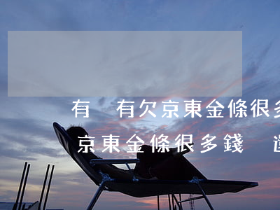 有沒有欠京東金條很多錢沒還的-有沒有欠京東金條很多錢沒還的人
