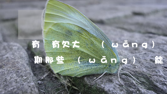 有沒有欠大額網(wǎng)貸逾期的(有逾期那些網(wǎng)貸能過)