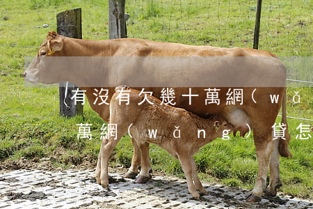 有沒有欠幾十萬網(wǎng)貸的(欠幾十萬網(wǎng)貸怎么還)