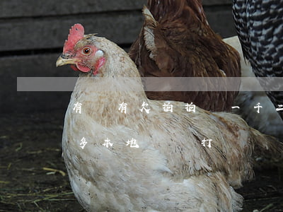 有沒有欠拍拍貸一千二上門的(拍拍貸欠兩千多本地號碼打過來說上門)