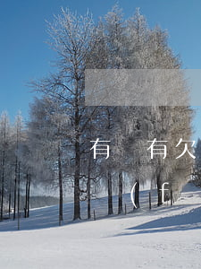 有沒有欠浦發(fā)萬用金沒還坐牢的(浦發(fā)萬用金沒還清能再借嗎)