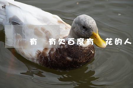 有沒有欠百度有錢花的人(欠百度有錢花十幾萬沒錢還)
