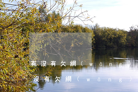 有沒有欠網(wǎng)貸15000的(有沒有欠網(wǎng)貸15000的)