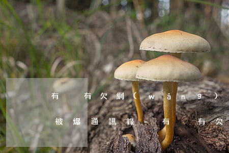 有沒有欠網(wǎng)貸一直不還的還沒被爆通訊錄-有沒有欠網(wǎng)貸一直不還的還沒被爆通訊錄的人