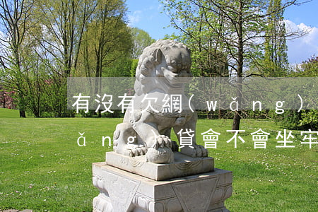 有沒有欠網(wǎng)貸坐牢了(欠網(wǎng)貸會不會坐牢?)