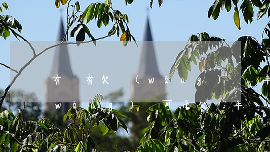 有沒有欠網(wǎng)貸幾年沒還的(網(wǎng)貸可以欠幾年)